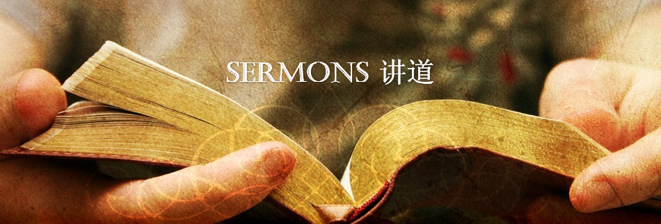 Bible Website Banner